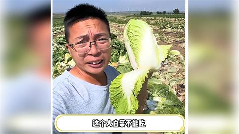 中國被踢爆輸出「甲醛白菜」　網友憂越南進口菜「洗產地」流入台