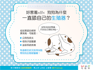 【汪汪康健】羞羞臉！狗狗一直舔自己的生殖器是為什麼？！