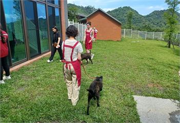 鼓勵認養犬貓　新北瑞芳動物之家推免費接駁車