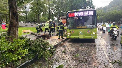 快新聞／台北中山北路「公車撞倒路樹」　佔據2車道