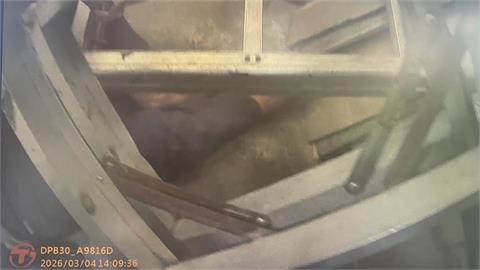 地震險害命！台南新化1長者「遭2倒塌鋁梯壓住」無法脫困　警上門成功救人