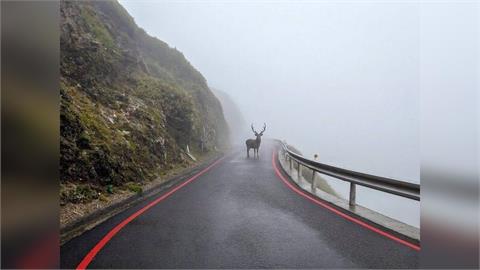 合歡山「山獸神」照片爆紅　翻車！粉專致歉：1張AI加工