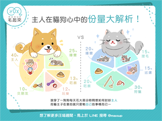 【毛孩行為學】主人在貓狗心中的分量大解析！