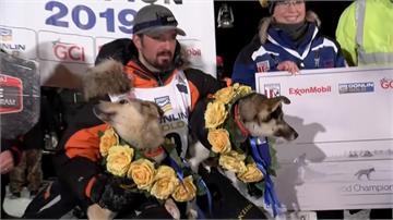 阿拉斯加雪橇狗大賽 冠軍抱狗合照超萌