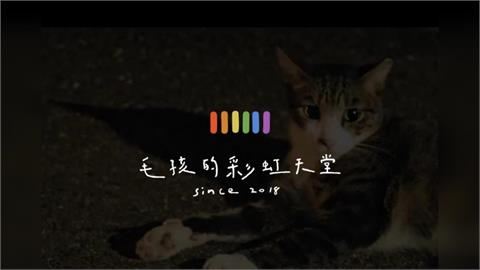 快新聞／確認身亡！「毛孩的彩虹天堂」負責人林意盛陳屍台中　家屬無異議