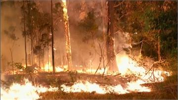 澳洲災難性野火釀3死 消防當局發布全省緊急狀態