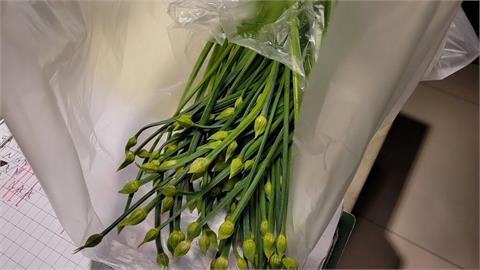 北市抽驗蔬果殘留農藥　多件韭菜花、九層塔不合格