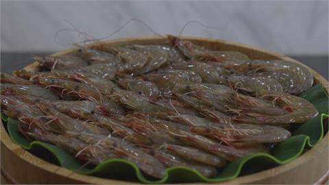 快新聞／親台新政策？宏國白蝦出口暴跌　當地媒體「封鎖台灣」突解禁了