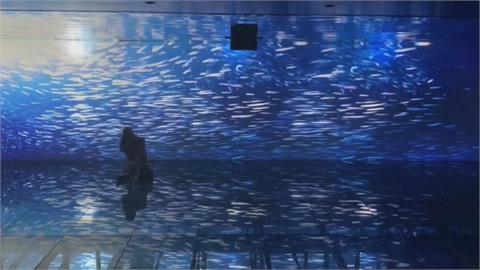 結合數位科技幻化自然美景　里約水族館開幕「數位鏡海展」