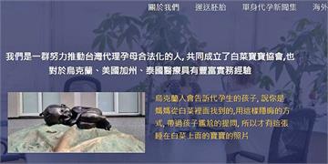代孕名人爆斂財／收錢擺爛不辦事挾嬰兒當肉票　白菜寶寶協會遭控代孕蟑螂