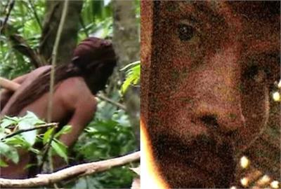 亞馬遜雨林神秘部落滅絕！最後1名「洞穴原住民」被發現陳屍吊床上