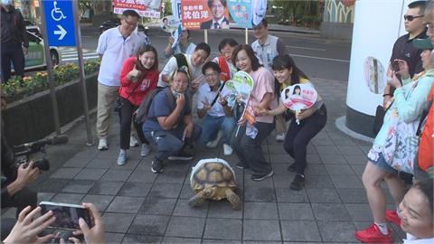 快新聞／大湖公園清晨擠爆！民眾排隊搶拍沈伯洋　「超萌寵物龜」也來助陣