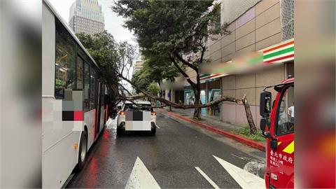 快新聞／北市信義驚魂！貨車撞樹倒塌壓公車　現場畫面曝光