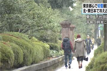 日本各地氣溫驟降 東京冬天初雪到