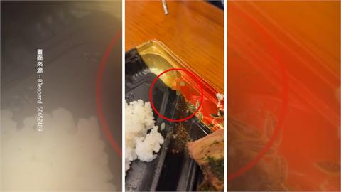噁! LOPIA便當"驚見活蟲"害婦狂吐 爭鮮醬油黑蟲亂爬
