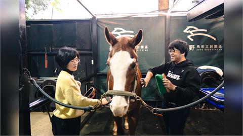 歡喜迎馬年！蘇巧慧化身一日馬場照護員　沈伯洋竟成「Q毛本尊」？