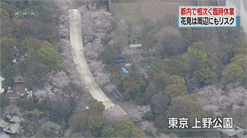 東京都呼籲民眾週末別出門 封閉三大公園賞櫻步道