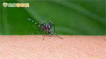日本腦炎再＋3！2人住加護　疾管署：6、7月疫情高峰慎防病媒蚊
