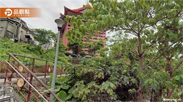 圓山飯店驚見樹上吊掛男屍！登山客嚇壞急報警