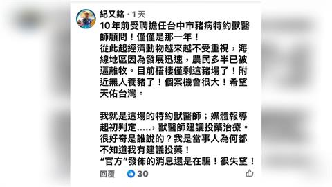 台中豬瘟爭議！市府遭特約獸醫打臉　許美華：不是失職就是說謊栽贓