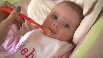 美國抽查嬰兒食品95％含重金屬！寶寶食用恐智力下降