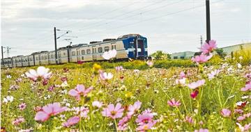 波斯菊異語1／大肚花海上億農地有蹊蹺　佃農「三七五」金鐘罩折騰地主喊救命