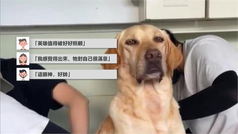 汪汪隊洗香香！台中搜救犬Ring「這表情」網友全融化