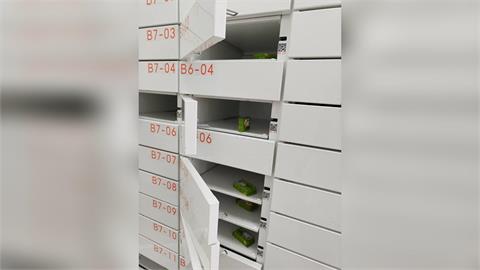 獨／智取店單件商品獨立佔櫃！　民眾取貨宛如"在玩開開樂"