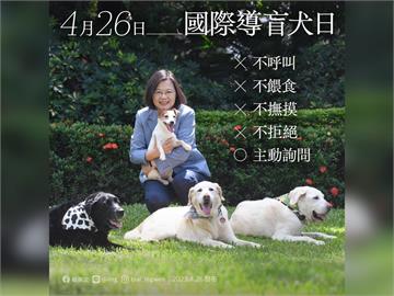 國際導盲犬日！　蔡英文曬家中3隻退役犬及樂樂宣導「四不一問」