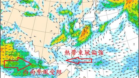 為何還沒進梅雨季？入梅只差「這1條件」…鄭明典1圖揭原因：熱帶東風太強