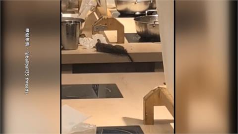 鼠亂！新莊棒球場老鼠球場狂奔　師大商圈鍋吃一半「鼠從天降」
