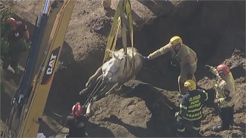 洛杉磯破500公斤白馬摔進天坑　消防人員出動重機具馳援