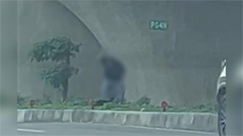 「揮棍棒打狗」逼愛犬戶外小便！　民眾報警、動保單位速救援