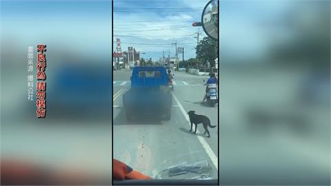 又傳虐狗？彰化貨車駕駛「開車溜狗」　犬遭栓拖行狂追