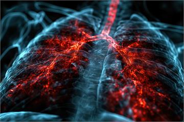 長期咳嗽別輕忽！結核病與肺阻塞(COPD)辨別指南：症狀、成因與治療一次解析！