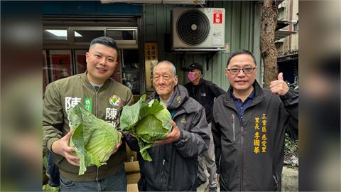 慈愛里最美風景、貓咪牆下領高麗菜