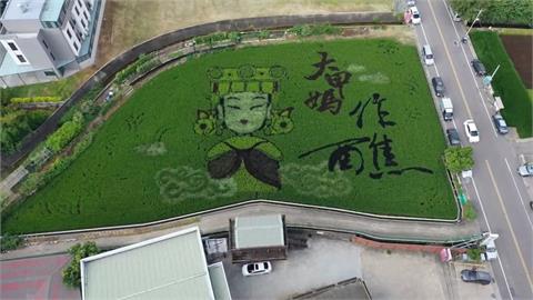 苑裡稻田驚見「Q版大甲媽」 再生稻彩繪空拍照曝光