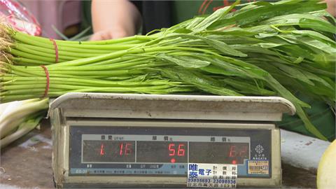 梅雨季衝擊葉菜類收成　菜價近日飆漲