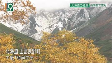 日本氣溫直直落　北海道現楓紅、降初雪