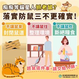 快新聞／今年首例！北市50歲婦「漢他病毒」確診　衛生局教3招居家防鼠