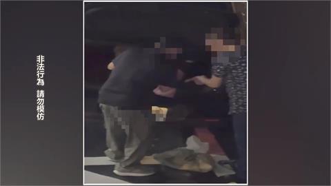 越南籍移工販售穿山甲　賺了錢竟落跑出境