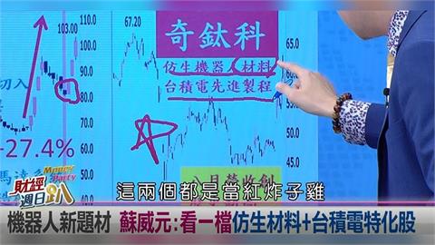 週日趴(影)／蘇威元: 機器人新題材 看一檔仿生材料+台積電特化概念股