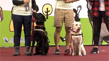 銀行攜手導盲犬協會 華山辦公益園遊會