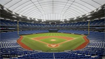 MLB／光芒5比1擊敗巨人！Jonathan Aranda關鍵安打助隊奪系列賽首勝