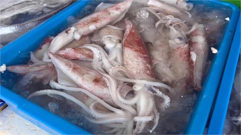 透抽肚裡塞進數條小魚　業者：小魚鑽進透抽肚裡