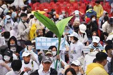 藍白反罷現隱憂／動員小草反罷兩面刃　藍白聯手現尷尬處境