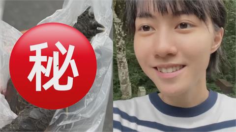 中國留學生路中央救1小生命　谷歌一查驚呆了：是台灣一級保護動物