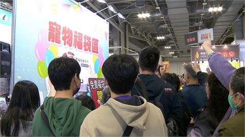 2026元旦寵物年貨大街開跑　冠軍龍貓身價逼近一台車