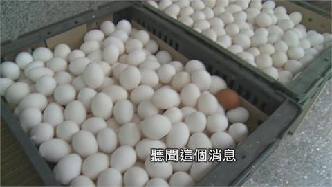 蛋價漲！　養雞場捐蛋給烘焙班　學生練習不中斷