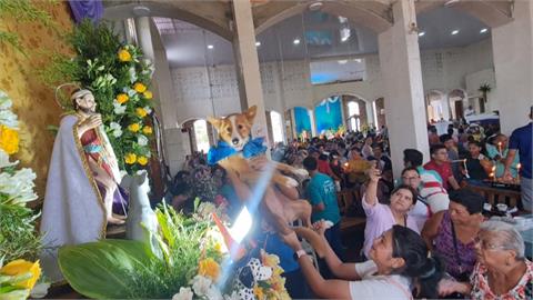 尼加拉瓜社區辦毛孩祈福會　狗狗上教堂接受祝福